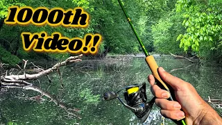 Simple Exciting Bank Fishing (1000th Video)
