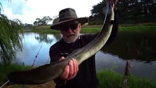 Australia. Wedkowanie, grzybobranie i inne pasje Edwarda K.- 386. - Z wedka po Australii. -109.