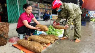 Harvest Wild Tubers Goes to the market to sell l Lý Thị Ca