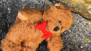 The Teddy Bear - Short Film *Award Winner*