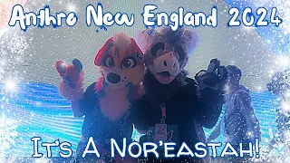 Anthro New England 2024: It's a Nor'eastah!