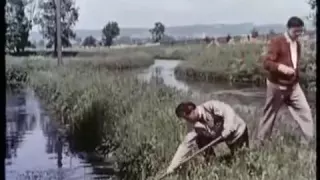 Heimatfilm Die Fischerin vom Bodensee 1956