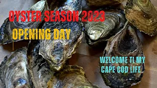 Opening Day of Oyster Season 2022-2023!  Barnstable Cape Cod Massachusetts