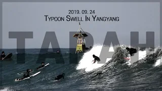 한국에 이런파도가?! 빅웨이브 서핑하는 한국서퍼들 KOREAN TYPOON SWELL : TAPAH