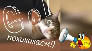 ПРИКОЛЫ С ЖИВОТНЫМИ 2019 МАЙ 🐶🐱