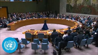 Ukraine - Security Council meeting (24 February 2023)