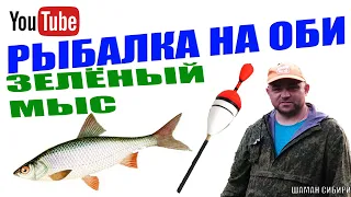 Рыбалка на ОБИ на поплавок! Зелёный Мыс! Бешеный Клёв!