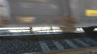 Dog hit by train 🚆