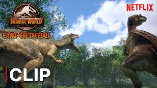Chaos And Limbo Search For Grim | JURASSIC WORLD CAMP CRETACEOUS | NETFLIX