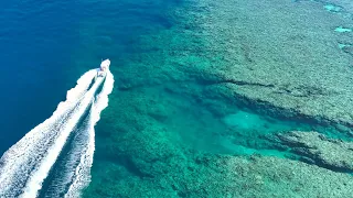 Spearfishing Blue Holes on the Great Barrier Reef (Crayfish, Tuskfish, Coral Trout & Nannygai)