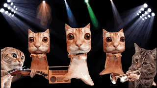 Chipi Chipi Chapa Chapa 2024 El Gato Cats Dance