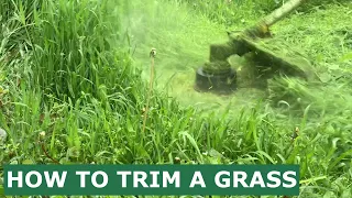 Spring Mowing the Thick and Tall Grass with String Trimmer