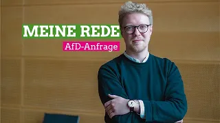 Meine Rede zur großen Anfrage der AfD