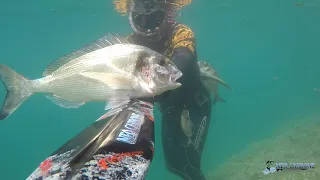 Spearfishing Croatia-Neo Carbone-"Her Majesty"  by Sasa Skoko