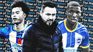 The Incredible Rise of Brighton & Hove Albion