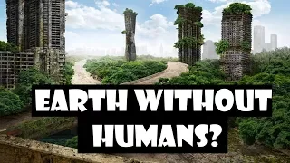 What Would Happen If All Humans Disappeared?