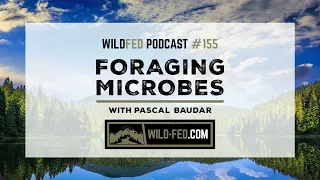 Foraging Microbes with Pascal Baudar — WildFed Podcast #155