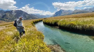 Fly Fishing Amazing High Country spring Creek.  Part 1