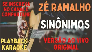 Zé Ramalho - Sinônimos - playback/karaokê com letra (versão original ao vivo)