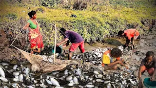 Village lifestyle catching fish//Fishing technique in our Nepalese village area