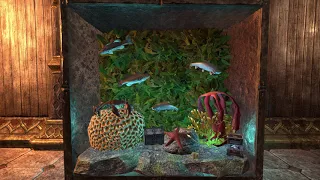 ESO Fish Tank