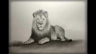 Cómo debujar un León(Panthera leo)|paso o paso|Рисуем Льва|Lion|mejor
