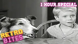 Lassie | 1 Hour Special | Full Episodes | Old Cartoons
