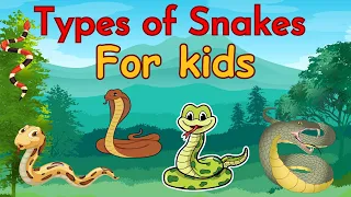 Types of snakes for kids | SNAKES | SNAKES FOR KIDS | KIDS EDUCATION |ANIMALS