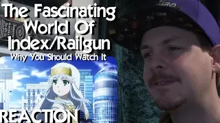 The Fascinating World of Index/Railgun and Why You Should Watch It REACTION