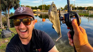 I Caught A Monster! || Fishing Giant Swimbaits In Public Water Pays Off Big!