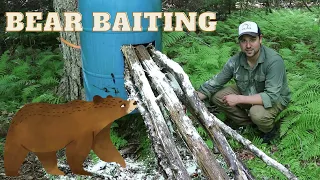 Canada Archery Black Bear Hunt: Part 1, Bait Site Setup