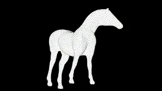 Which direction is the horse spinning? | optical illusion
