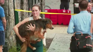 Multiple dogs killed after wall at pet hotel gives in during flash flood