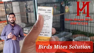 Mites in birds and solution