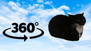 Maxwell The Cat Finding Challenge | But It's 360 degree video