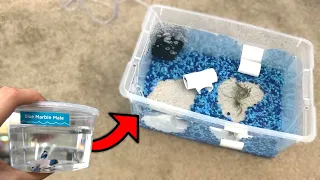 *NEW* BETTA FISH TANK AQUARIUM POND SETUP w/BABY BETTA!