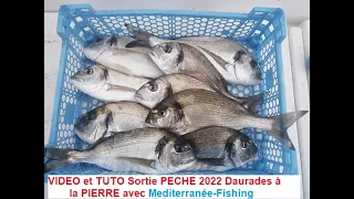 Vidéo et Tuto pêche de la DAURADE à la pierre 2022