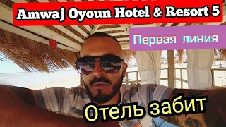 Египет 🇪🇬 Популярный Amwaj Oyoun Hotel & Resort 5 * Сервис территория ресторан пляж