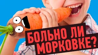 МОГУТ ЛИ РАСТЕНИЯ ЧУВСТВОВАТЬ БОЛЬ?