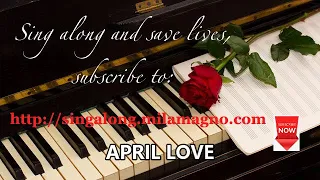 April Love (with lyrics)