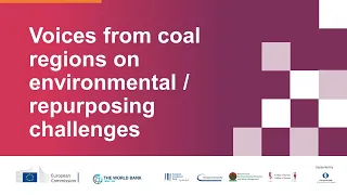 Annual meeting: Voices from the coal regions on environmental/repurposing challenges - panel 2