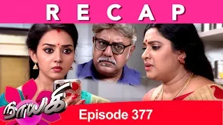 RECAP : Naayagi Episode 377, 15/05/19