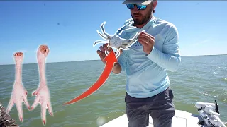 Catching BLUE CRABS With CHICKEN FEET {Catch Clean Cook}