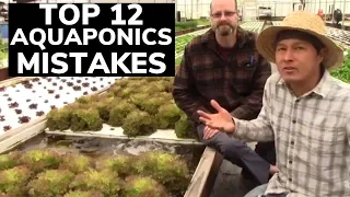 Top 12 Mistakes in Aquaponics Systems & How to Avoid them