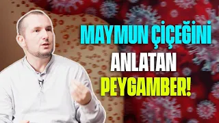 MAYMUN ÇİÇEĞİNİ ANLATAN PEYGAMBER! / Kerem Önder