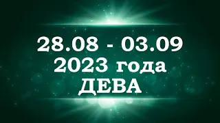 ДЕВА | ТАРО прогноз на неделю с 28 августа по 3 сентября 2023 года