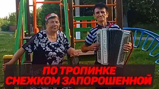 ВАСИЛИЙ НЕСТЕРЕНКО -  ПО ТРОПИНКЕ СНЕЖКОМ ЗАПОРОШЕННОЙ / ДУШЕВНАЯ ПЕСНЯ ПОД БАЯН