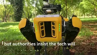 Coronavirus Robot dog enforces social distancing in Singapore park