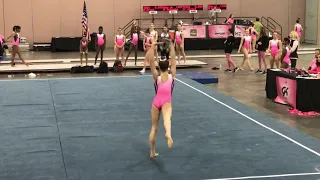 Madison Vitolo - Class of 2023 - Level 10 Floor Pink Meet 2019