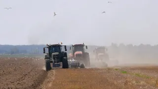 Plowing / FENDT 930 + RABE Marabu, MTZ 3022 + VOGEL & NOOT Hektor, and MTZ 3522 + PPO-9-45K /